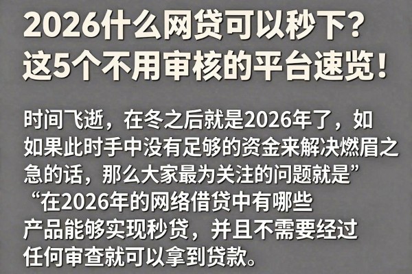 2026什么网贷可以秒下?这5个不用审核的平台速览!