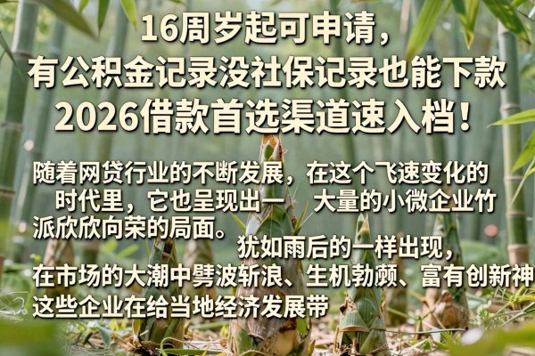 16周岁起可申请、有公积金记录没社保记录也能下款,2026借款首选渠道速入档!