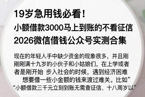 19岁急用钱必看！小额借款3000马上到账的不看征信，2026微信借钱公众号实测合集