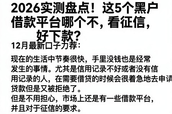 2026实测盘点!这5个黑户借款平台哪个不看征信好下款?12月最新口子力荐