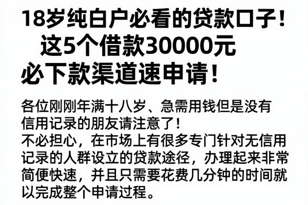 18岁纯白户必看的贷款口子!这5个借款30000元必下款渠道速申请
