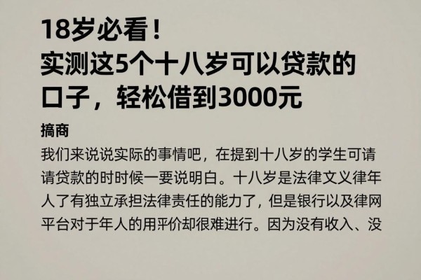 18岁必看!实测这5个十八岁可以贷款的口子,轻松借到3000元