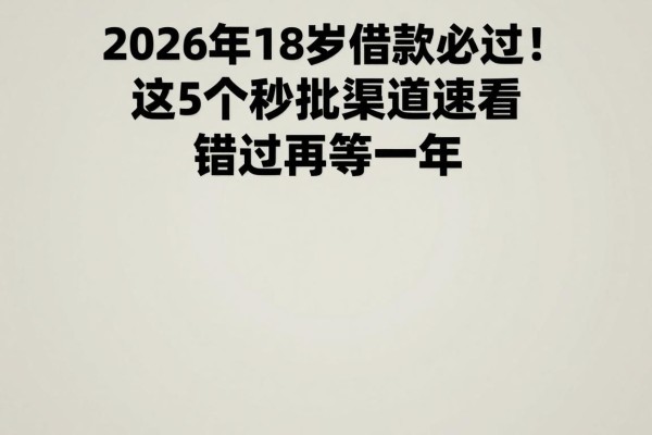 2026年18岁借款必过!这5个秒批渠道速看,错过再等一年