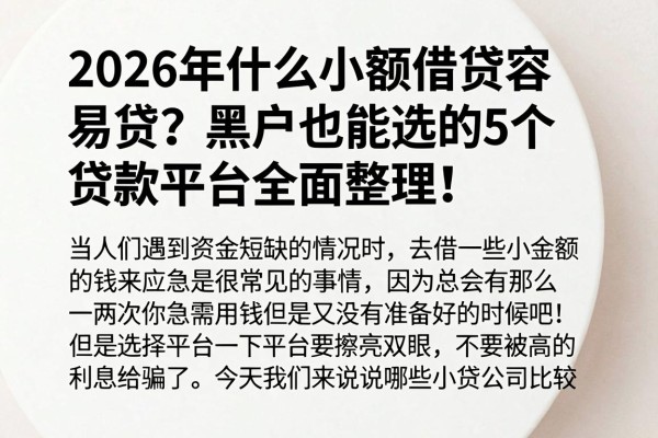 2026年什么小额借贷容易贷?黑户也能选的5个贷款平台全面整理!