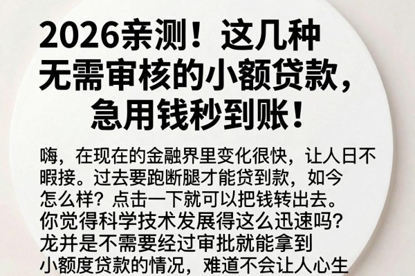 2026亲测!这几种无需审核的小额贷款,急用钱秒到账!