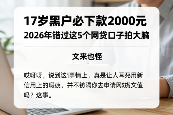17岁黑户必下款2000元!2026年错过这5个网贷口子拍大腿
