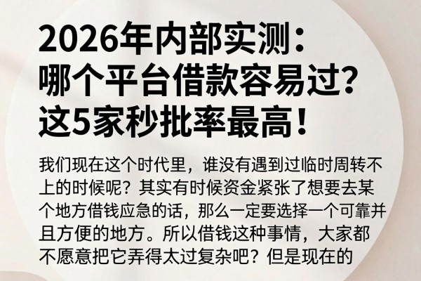 2026年内部实测:哪个平台借款容易过?这5家秒批率最高!