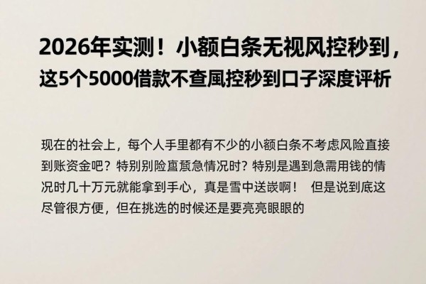 2026年实测！小额白条无视风控秒到，这5个5000借款不查风控秒到口子深度评析
