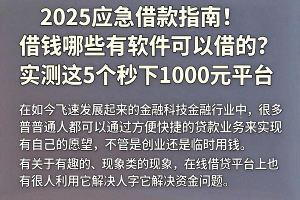 2025应急借款指南!借钱哪些有软件可以借的?实测这5个秒下1000元平台