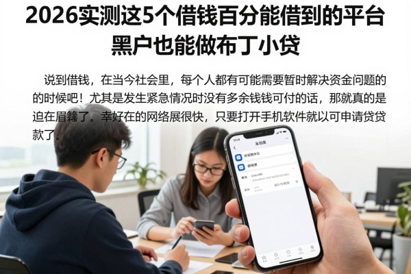 2026实测这5个借钱百分百能借到的平台，黑户也能做布丁小贷