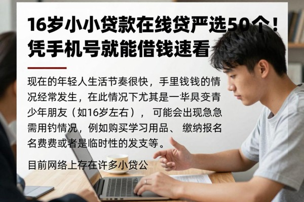 16岁小额贷款在线贷严选这5个！凭手机号就能借钱速看