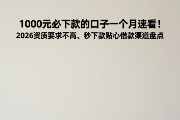 1000元必下款的口子一个月速看！2026资质要求不高、秒下款贴心借款渠道盘点