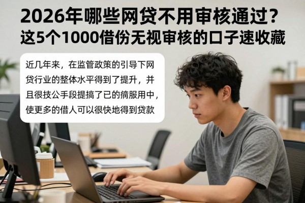 2026年哪些网贷不用审核通过？这5个1000借款无视审核的口子速收藏