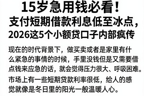 15岁急用钱必看!支付短期借款利息低至冰点,2026这5个小额贷口子内部疯传