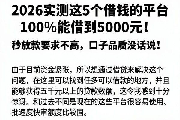 2026实测这5个借钱的平台100%能借到5000元!秒放款要求不高,口子品质没话说
