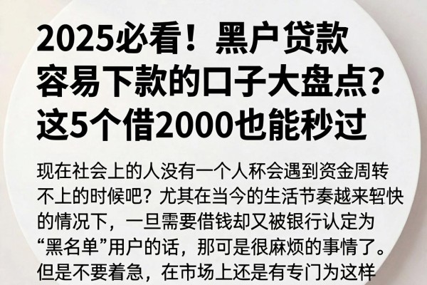 2025必看！黑户贷款容易下款的口子大盘点，这5个借2000也能秒过