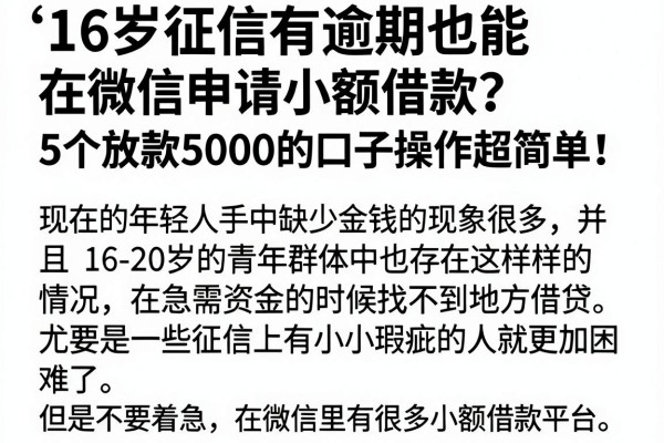 16岁征信有逾期也能在微信申请小额借款?5个放款5000的口子操作超简单!