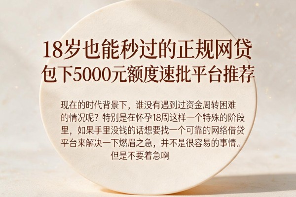 18岁也能秒过的正规网贷，包下5000元额度速批平台推荐