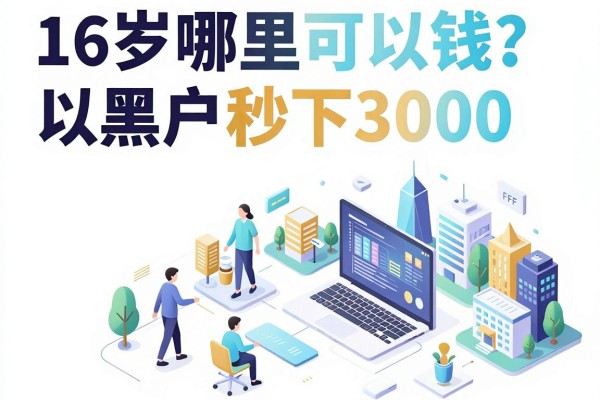 16岁哪里可以借钱？5个无视黑户秒下3000的平台步骤清晰好操作