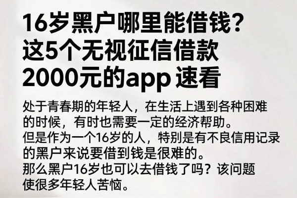 16岁黑户哪里能借钱？这5个无视征信借款2000元的APP速看