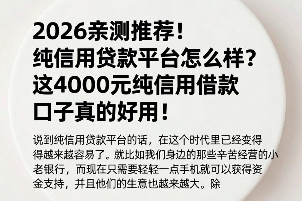 2026亲测推荐!纯信用贷款平台怎么样?这4000元纯信用借款口子真的好用!