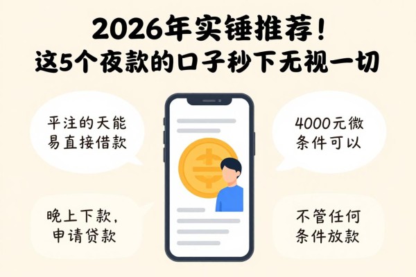 2026年实锤推荐！这5个夜间下款的口子秒下无视一切，4000元微信直接放款