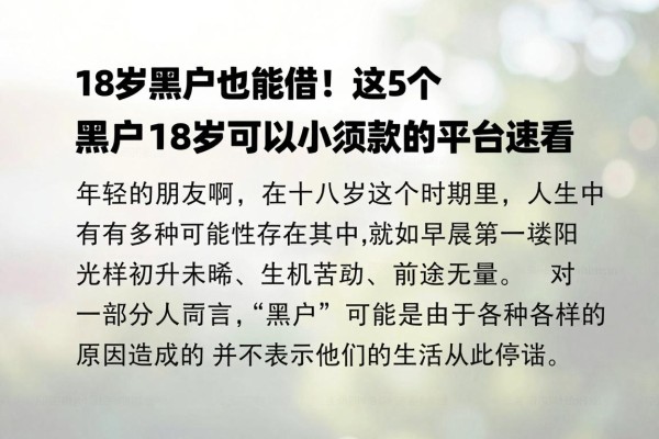 18岁黑户也能借！这5个黑户18岁可以小额贷款的平台速看