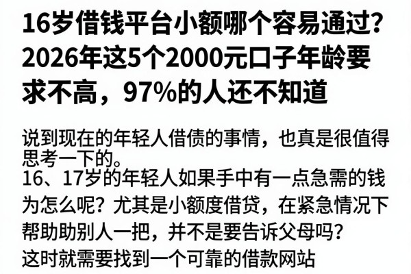 16岁借钱平台小额哪个容易通过？2026年这5个2000元口子年龄要求不高，97%的人还不知道
