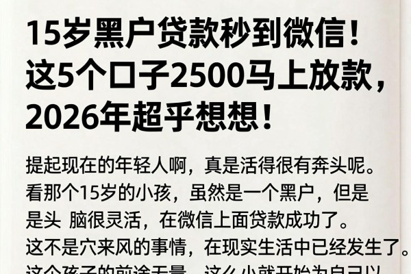 15岁黑户贷款秒到微信!这5个口子2500马上放款,2026年超乎想象!