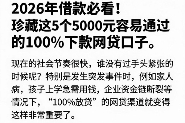 2026年借款必看!珍藏这5个5000元容易通过的100%下款网贷口子