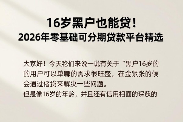 16岁黑户也能贷！2026年零基础可分期贷款平台精选