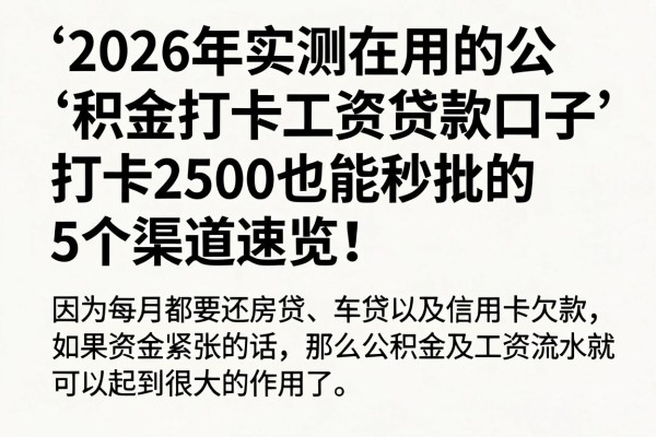 2026年实测在用的公积金打卡工资贷款口子，打卡2500也能秒批的5个渠道速览！