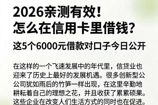 2026亲测有效!怎么在信用卡里借钱?这5个6000元借款对口子今日公开