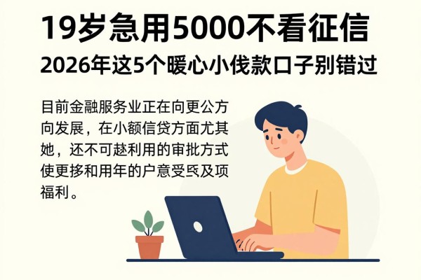 19岁急用5000不看征信，2026年这5个暖心小额贷款口子别错过