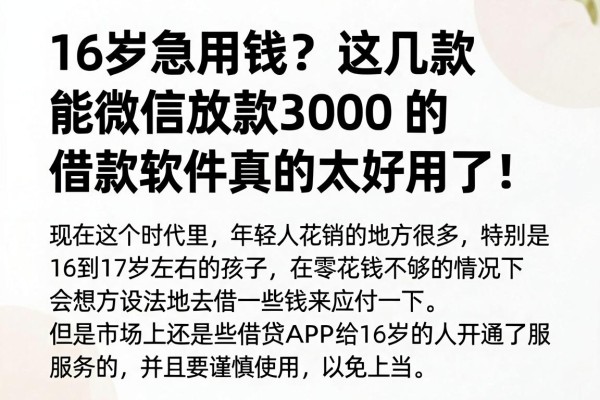 16岁急用钱?这几款能微信放款3000的借款软件真的太好用了!