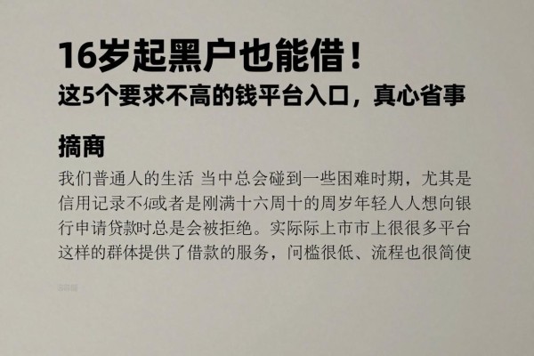 16岁起黑户也能借!这5个要求不高的借钱平台入口,真心省事