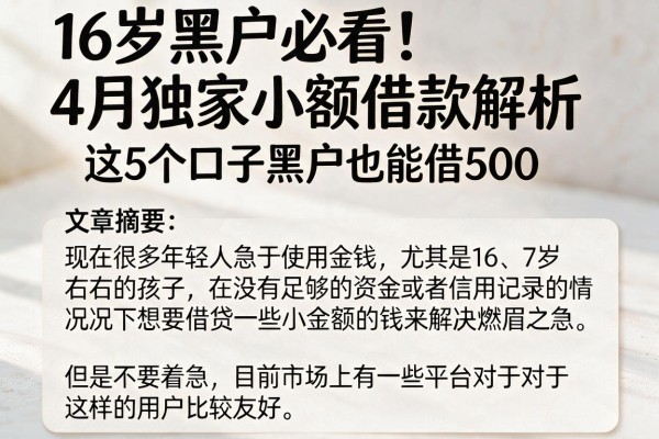 16岁黑户必看！4月独家小额借款解析，这5个口子黑户也能借500