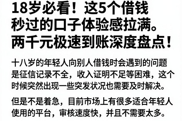 18岁必看!这5个借钱秒过的口子体验感拉满,两千元极速到账深度盘点