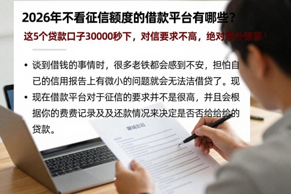 2026年不看征信额度的借款平台有哪些？这5个贷款口子3000秒下，对征信要求不高，绝对意外惊喜！