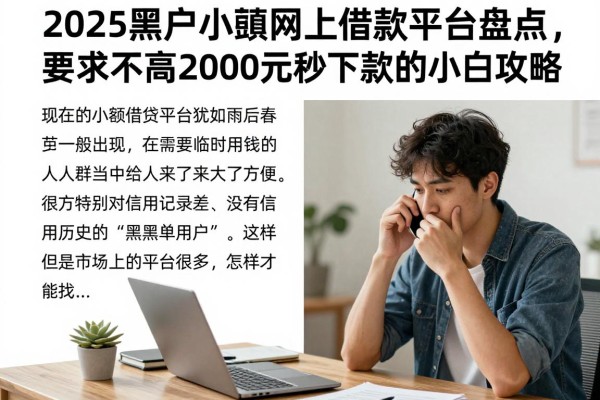 2025黑户小额网上借款平台盘点，要求不高2000元秒下款的小白攻略