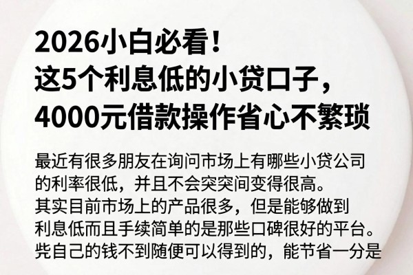 2026小白必看!这5个利息低的小贷口子,4000元借款操作省心不繁琐