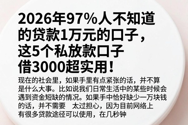 2026年97%人不知道的贷款1万元的口子，这5个私放款口子借3000超实用！