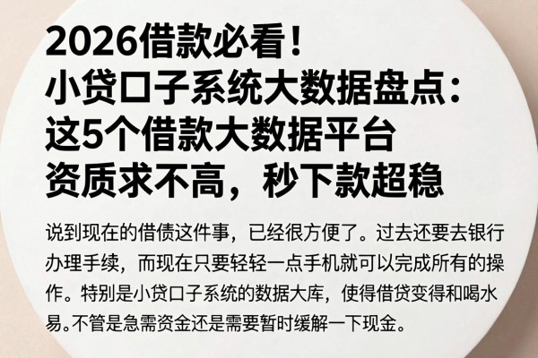 2026借款必看！小贷口子系统大数据盘点：这5个借款大数据平台资质要求不高，秒下款超稳