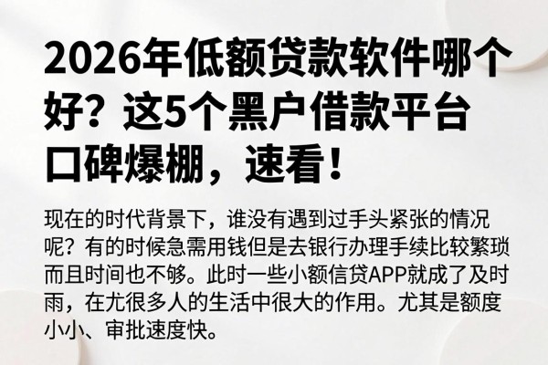 2026年低额贷款软件哪个好？这5个黑户借款平台口碑爆棚，速看！