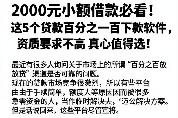 2000元小额借款必看！这5个贷款百分之一百下款软件，资质要求不高真心值得选