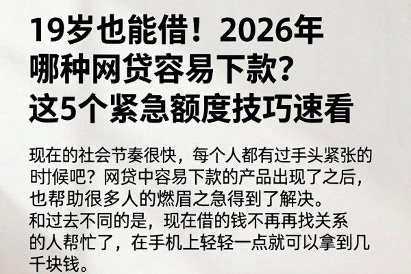 19岁也能借!2026年哪种网贷容易下款?这5个紧急额度技巧速看