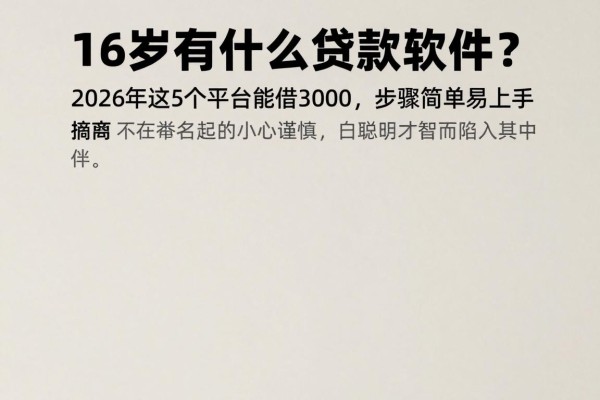 16岁有什么贷款软件?2026年这5个平台能借3000,步骤简单易上手