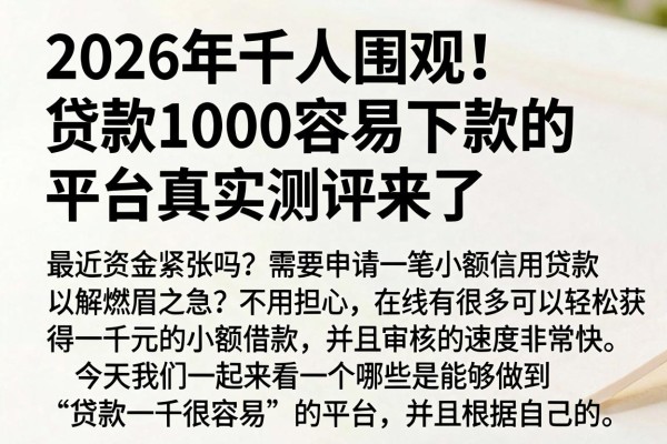 2026年千人围观!贷款1000容易下款的平台真实测评来了