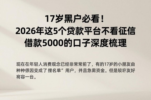 17岁黑户必看！2026年这5个贷款平台不看征信，借款5000的口子深度梳理