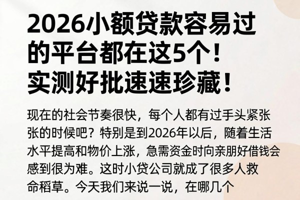 2026小额贷款容易过的平台都在这5个！实测好批速速珍藏！